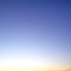 fly by sunset