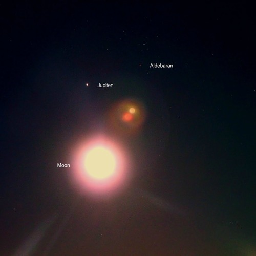 Планета альдебаран. Альдебаран звезда. Альдебаран звезда и солнце. Самая большая звезда Альдебаран.