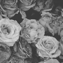 TaZzZ Feat. Elijah - Tere Bina