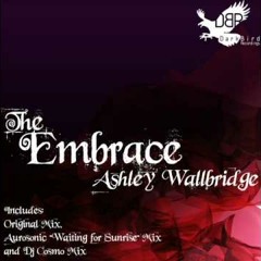 Ashley Wallbridge - The Embrace (DJ Cosmo Remix) Preview