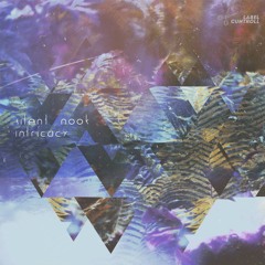 Silent nook - Intricacy (2015)(Preview Track CUNTROLL084)