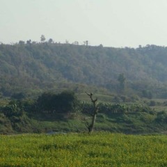 မုိးလို႔မႈိင္း (ဘိုျဖဴ)