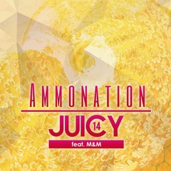 Ammonation (Original Mix) Freedownlord