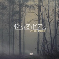 Boozooks - White Rabbit
