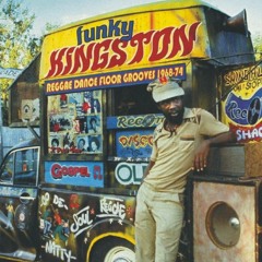 Dub Reggae Jungle Session