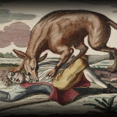 denis *animal* hot trap rap beat