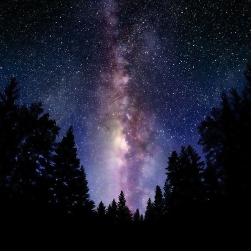 Night Air (feat. Miku Hatsune)