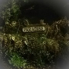 A Ron Way Ticket To Paradise