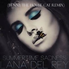 Lana Del Rey - Summertime Sadness (Benny The Housecat Remix)