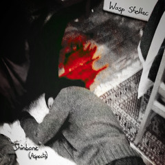 "Shinbone" (Aspects) Version 01