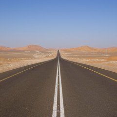 Desert Run