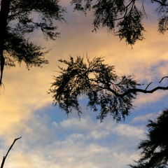 Soothing ChillOut Mix