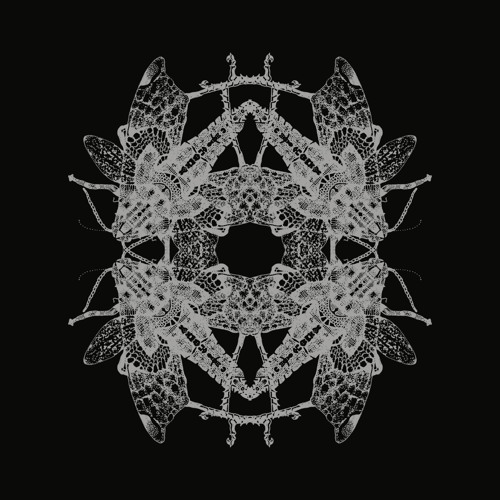 B1 Pfirter Technalog Snippet