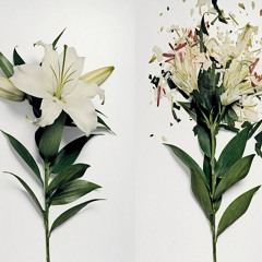 Про Лазара (фрагмент)