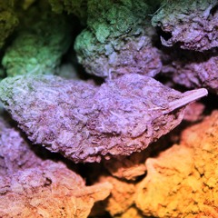 KidsNeedDope - Lemonade