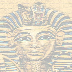 Postcard From Paradi$e II