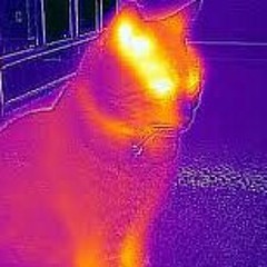 Climatic Crescendo at Yautja Prime