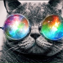 break it down and roll it up