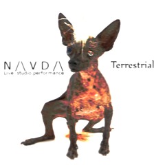 NAVDA - Terrestrial (Live studio session) FREE DOWNLOAD