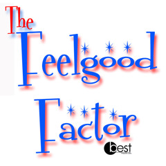 Feel Good Factor 2009 (house / electro