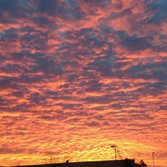 Hunger games hanging tree at This is just something I wanted to do so I did it