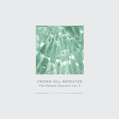 Crown Hill Repeater - Orange (The Automatic Message Remix)