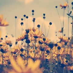 44. This Summer (13 Feb 2015)