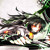 Artwork for Touhou 11 (trance Techno Remix) Solar Sect Of Mystic Wisdom  Nuclear Fusion
