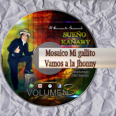 Mosaico Mi gallito-Vamos a la