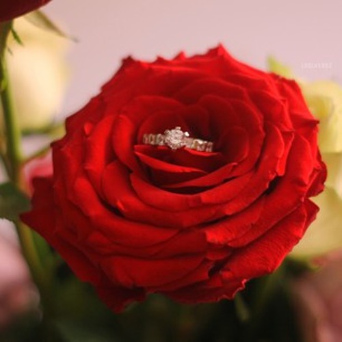 ♥ العشق ممنوع - شاب عقيل