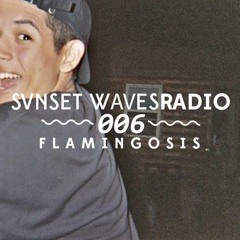 SVNSET WΛVES RΛDIO 006 // Flamingosis (Interview x Guest Mix)