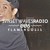Artwork for SVNSET WΛVES RΛDIO 006 // Flamingosis (Interview x Guest Mix)