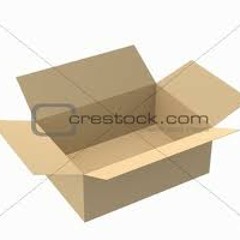 Application Software (A.P)