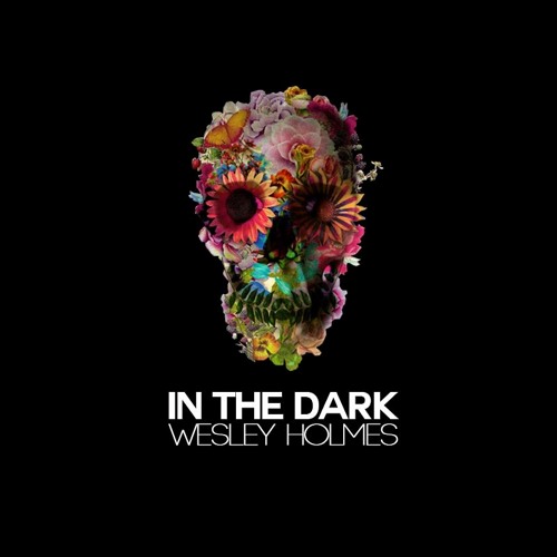 WESLEY HOLMES // IN THE DARK