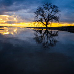 I sit here watching the clouds go by