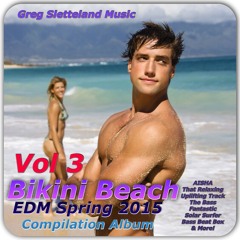 Bikini Beach Vol 3 EDM Spring 2015