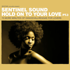 Sentinel Sound - Hold On To Your Love Part 3 [2015]