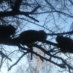 Various Artists - Не відпускай(MuzProduction studio project)