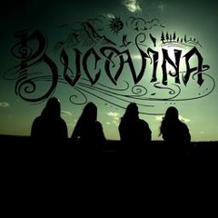 Bucovina - Spune Tu, Vant