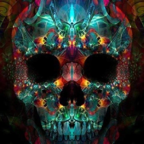 Tribe Hard Tek