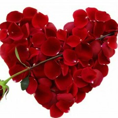 (Cover) My Valentine by MartinaMcBride