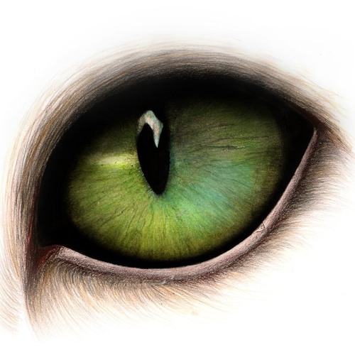 Ugur Soygur -  Yokoland (Orginal Mix) Preview