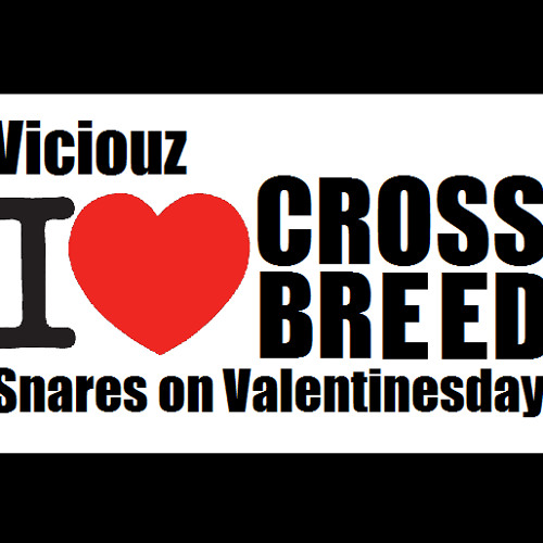 Viciouz @ Snares On Valentinesday