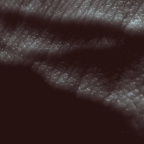 Posthuman