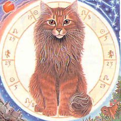 Ronronnement d'Hiver (et varié)