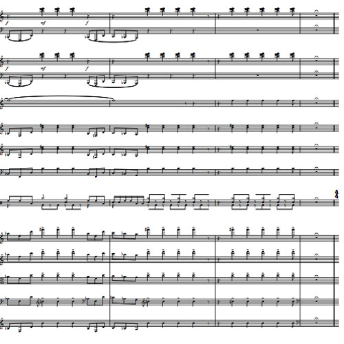 FAUVE, for the Illinois Modern Ensemble with Feral States