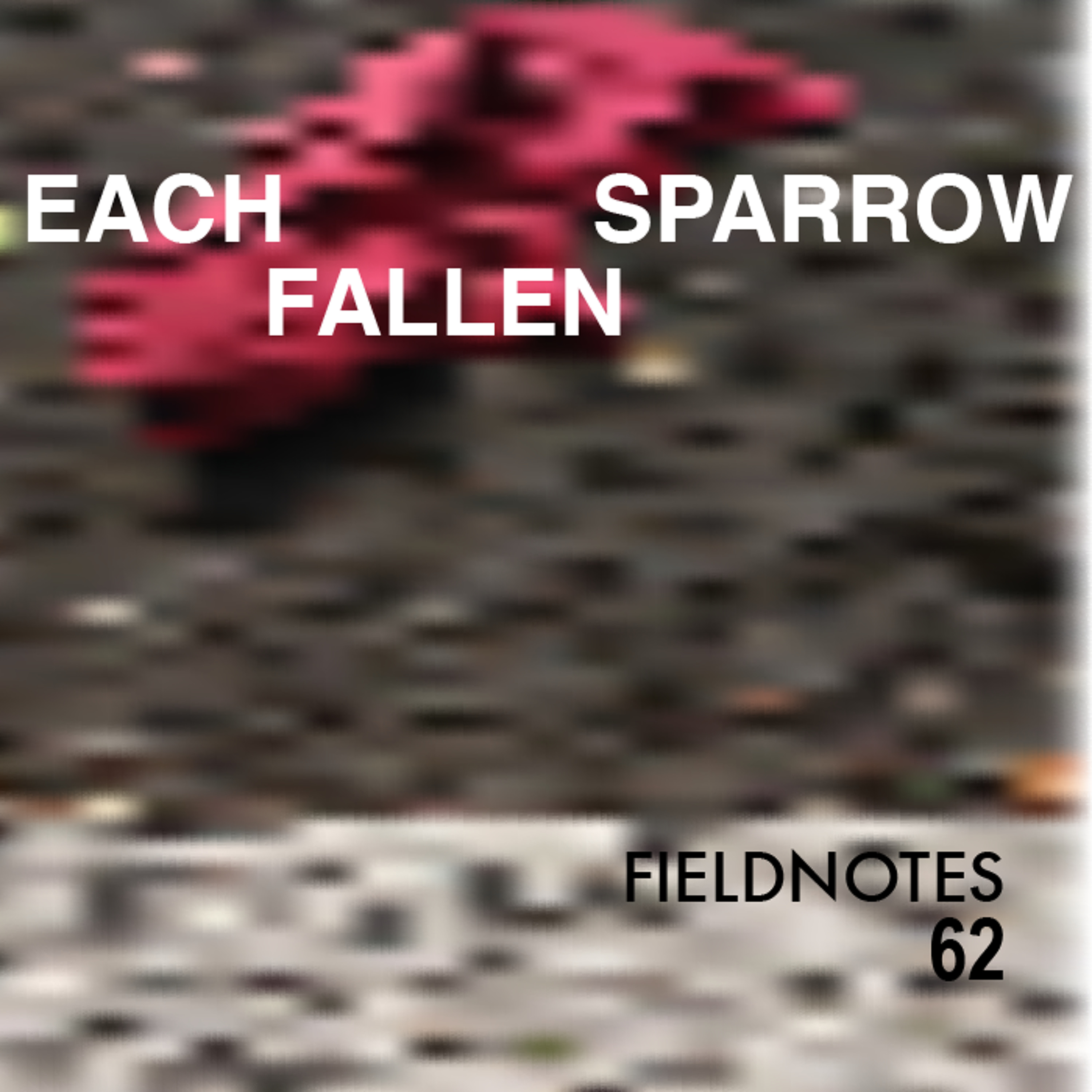 fieldnotes62
