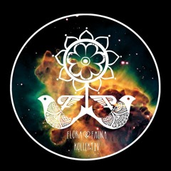 Flora & Fauna Podcast_ETHNO @ Institut für angewandte Unterhaltung, Götingen, 11/02/15