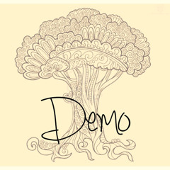 demo no. 1