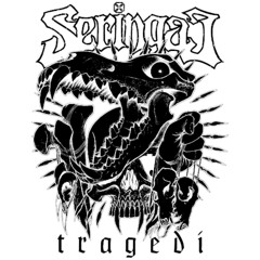 "SERINGAI"  - Membakar Jakarta